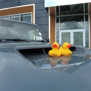 Why Do People Leave Ducks On Jeeps?