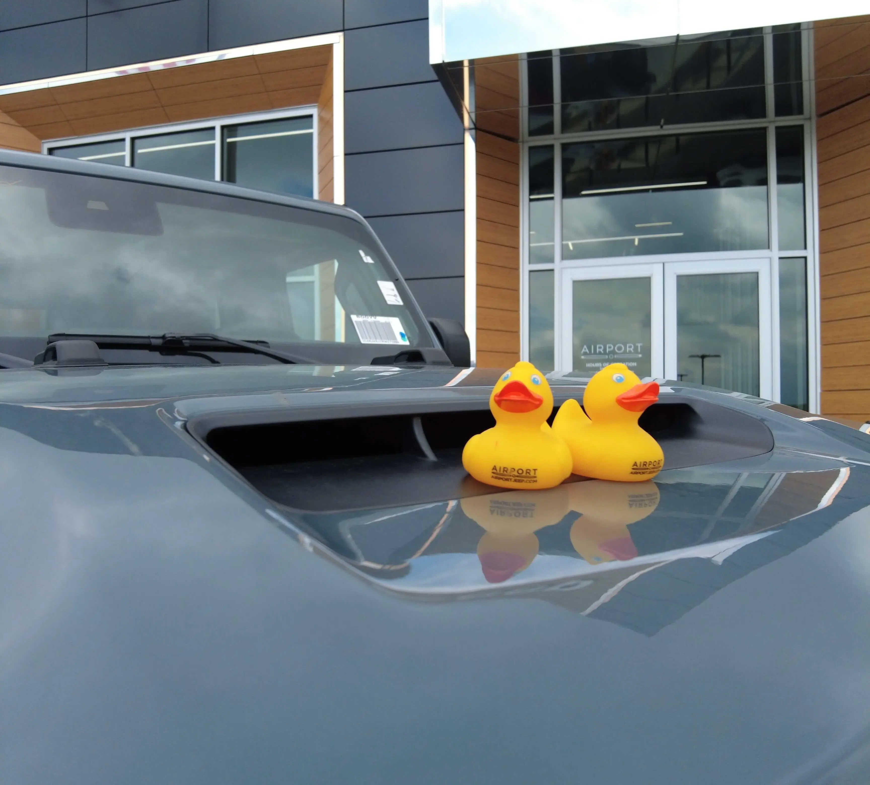 A set of duck jeeps.