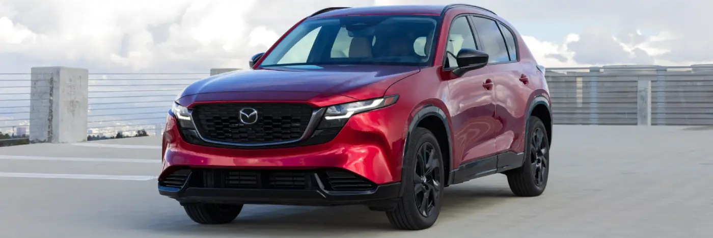 Family sitting in the back of an SUV