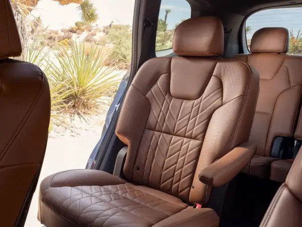 2026 Kia Telluride Backseat