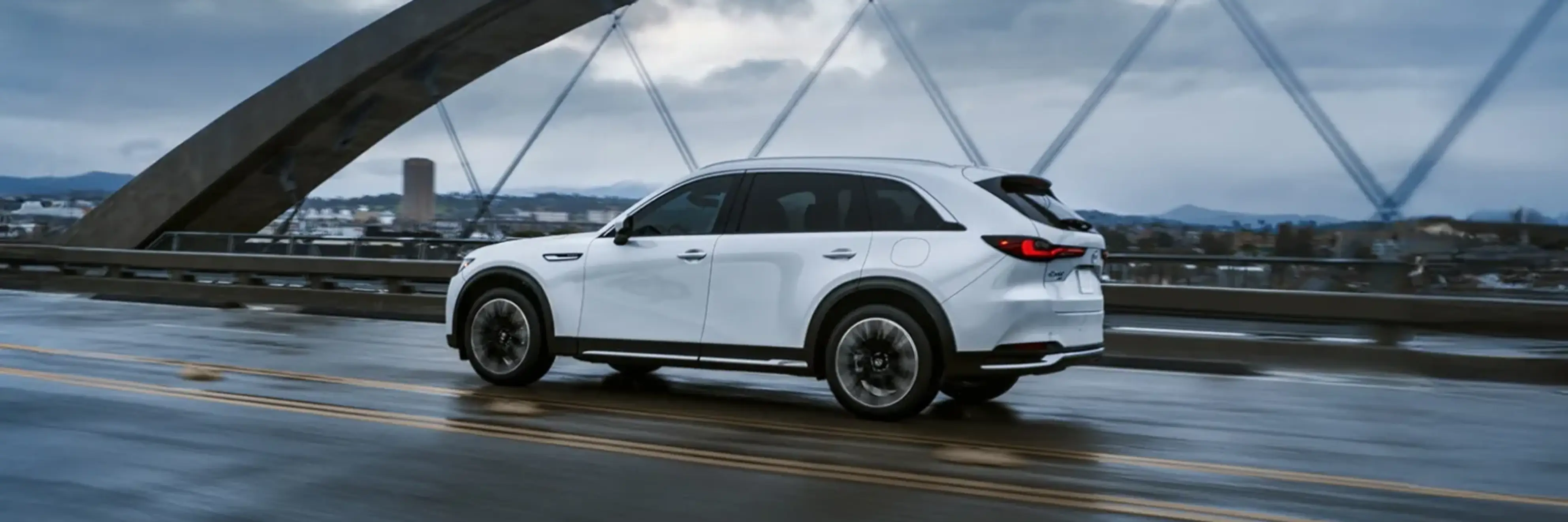 Family sitting in the back of an SUV