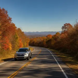 Used Honda CR-V Buyer's Guide for Fredericksburg, VA