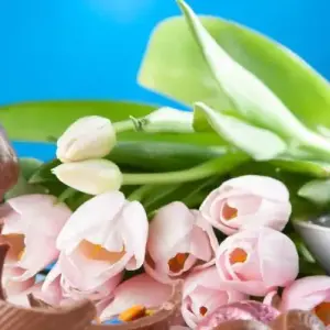 2019 Easter Egg Hunts, Events and Brunch Buffets in Dallas and Fort Worth