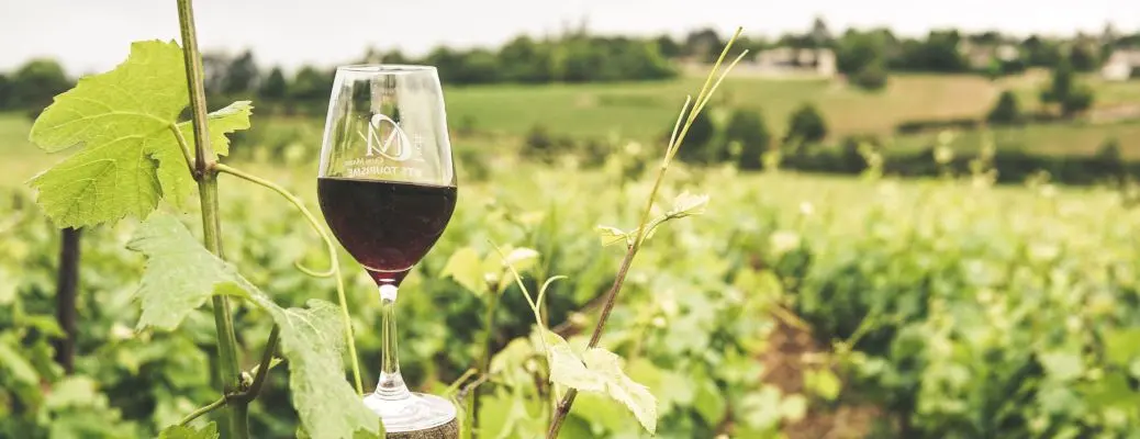 A view of a vineyard with a glass of wine in the foreground.