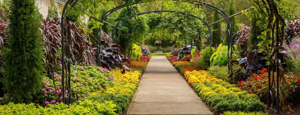Autumn Color Lines a Walk-way Under a Pergola at a Local Botanical Garden