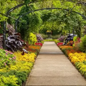 Best Botanical Gardens to visit near Dallas TX
