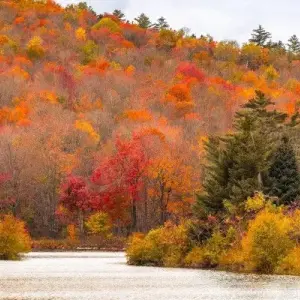 Things To Do in Dallas and Fort Worth in Fall 2019