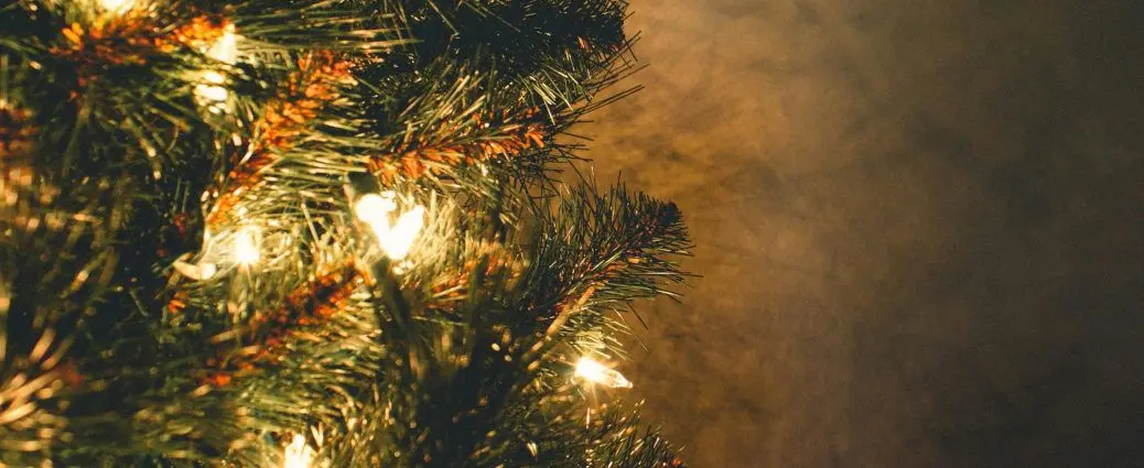 Christmas tree with lights.