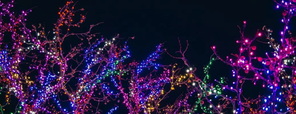Christmas lights near Dallas.