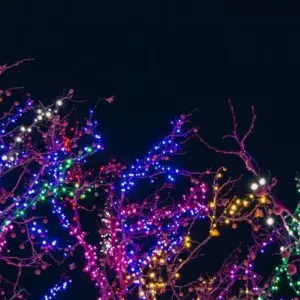 Where To See Christmas Lights and Holiday Light Displays in DFW
