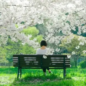 Fun Activities for Spring 2024 near Dallas