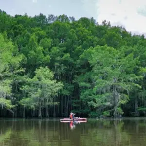 Top 3 State Parks near Dallas