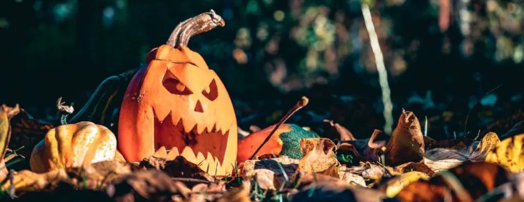 Pumpkin patches like this one are on the list of things to do for Halloween 2023 in Dallas.