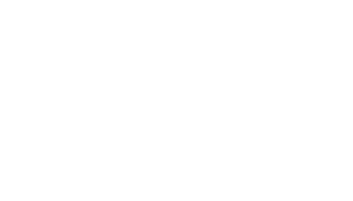 Baja Auto Sales