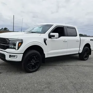 Most Popular Used Pickup Trucks for Workers in Unadilla, GA at Brannen Motor Group