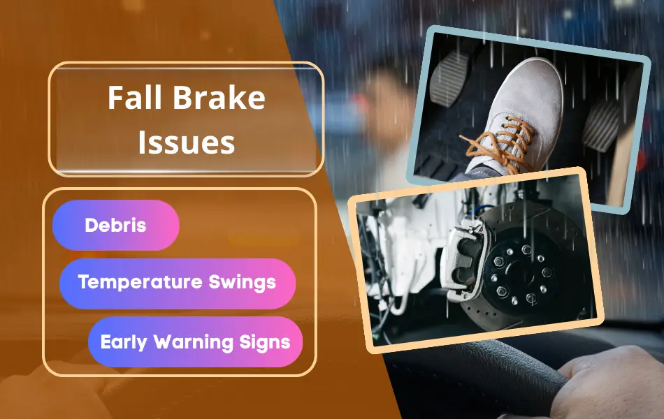 Debris, Temperature Swings, Early Signs