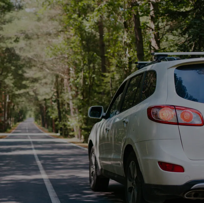 Carolina Auto Warehouse