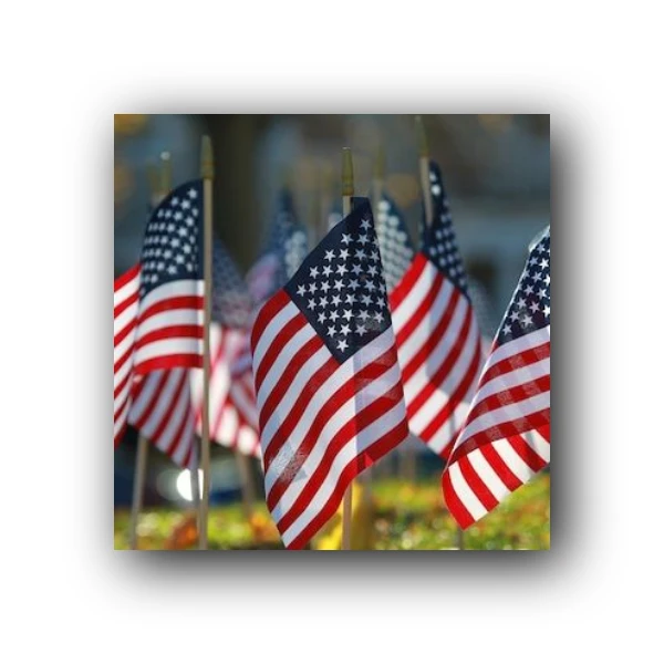 2021 Veteran's Day Specials