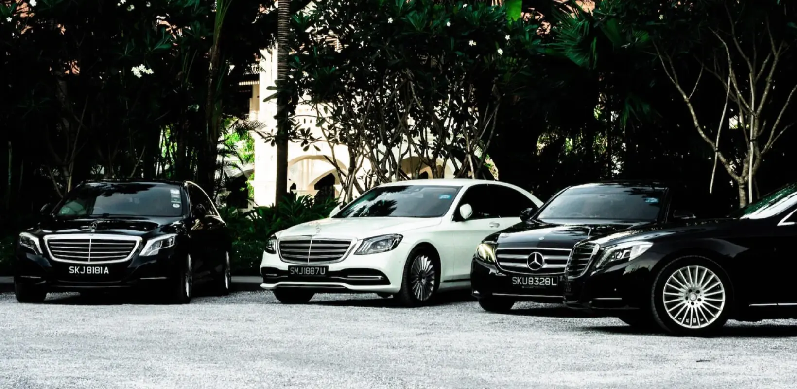 A lineup of Mercedes-Benz cars in a tree-lined parking lot.