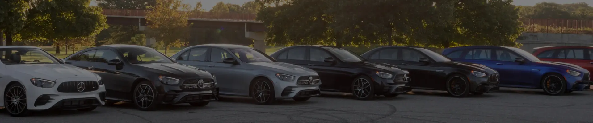 A lineup of Mercedes cars parked in a tree-lined lot.