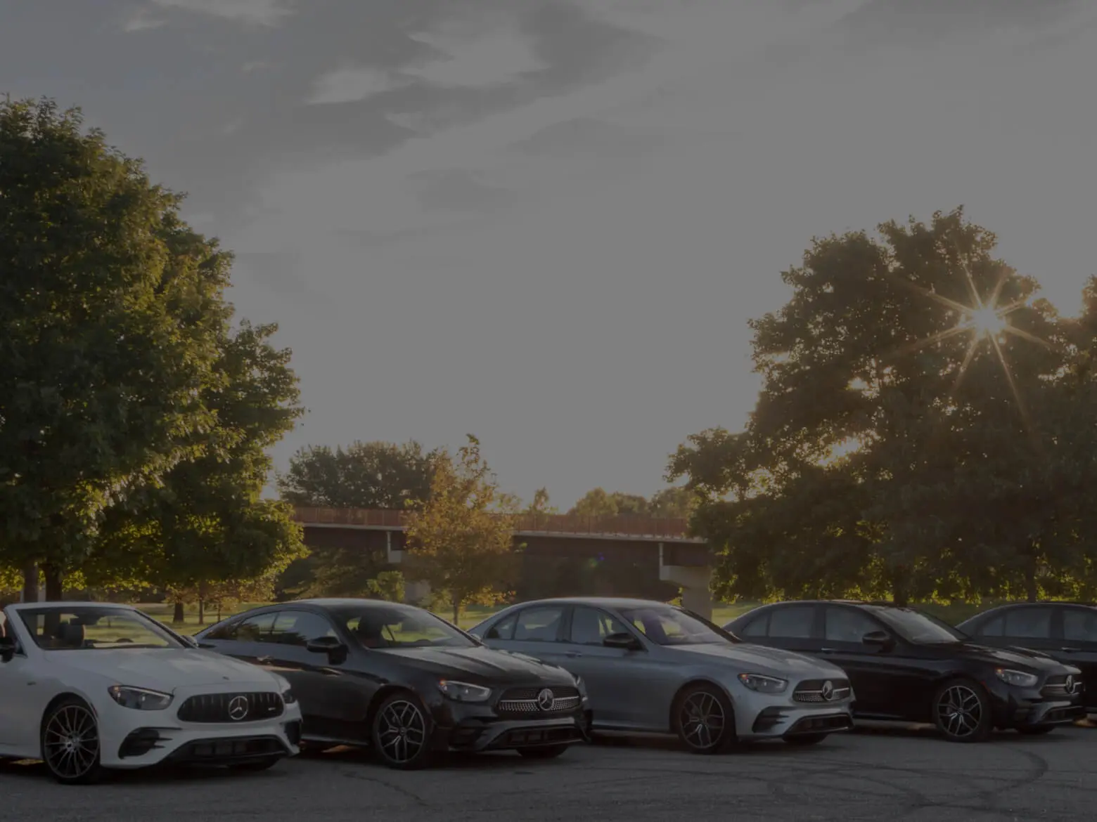 A lineup of Mercedes cars parked in a tree-lined lot.