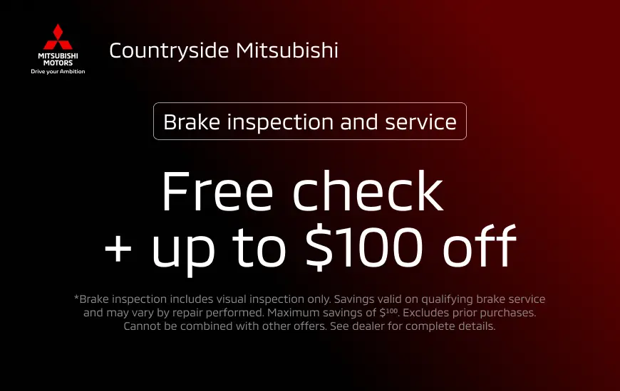 Brake inspection and service