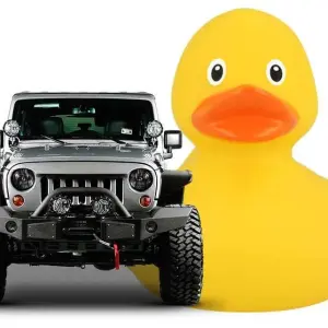 Why Do People Put Ducks on Their Jeeps?