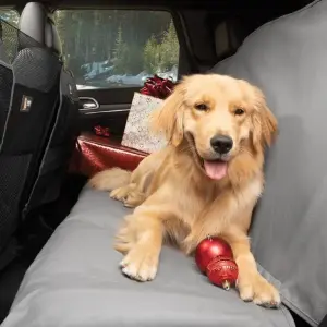 Pet Package