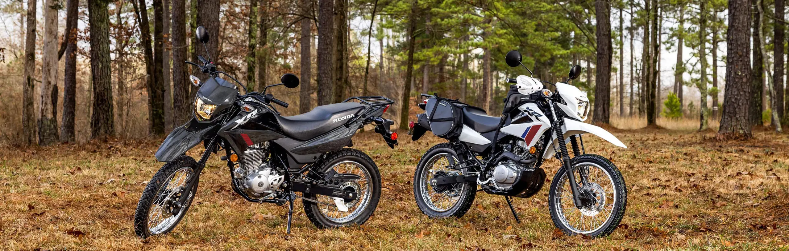 two honda xr150l parked in the woods