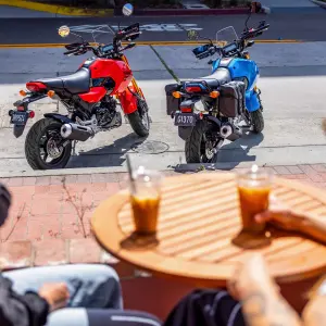 What to Know Before Getting a Honda Grom