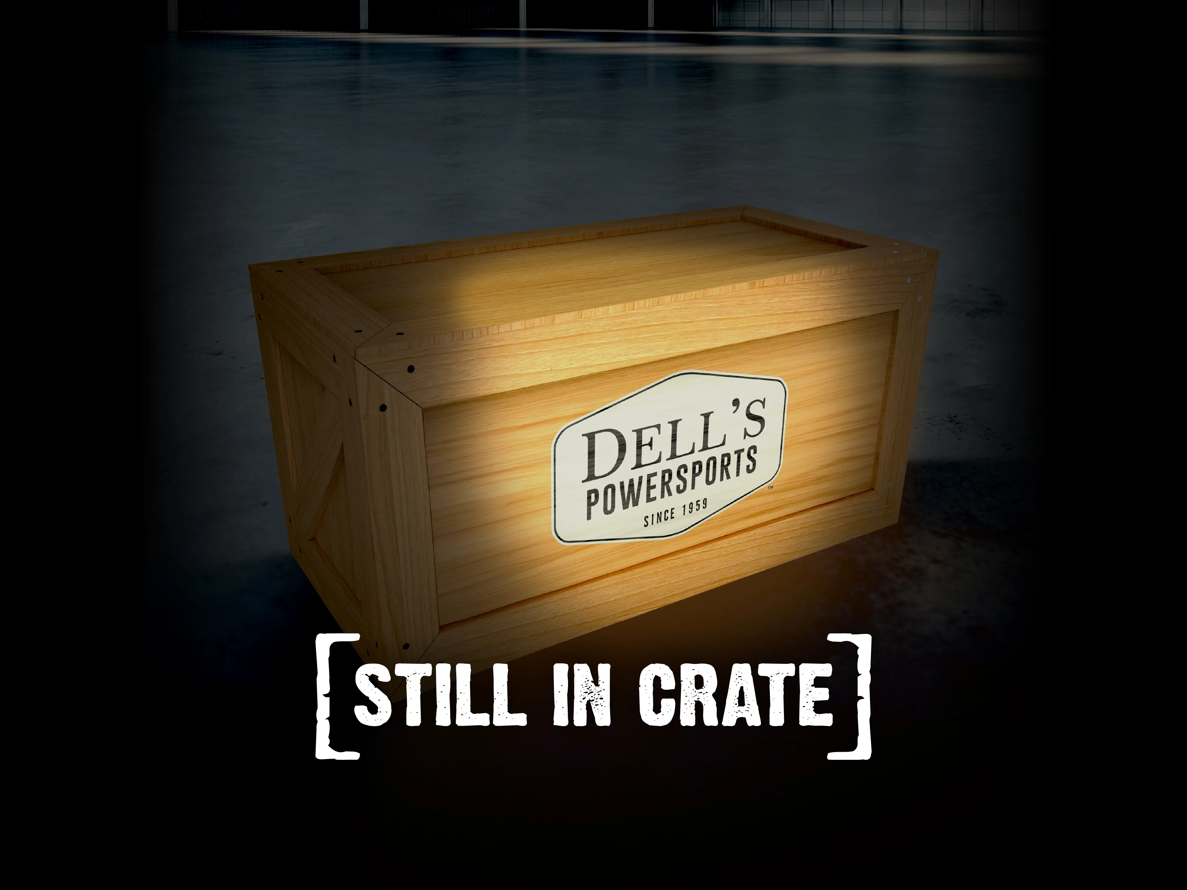 New arrival - photos coming soon