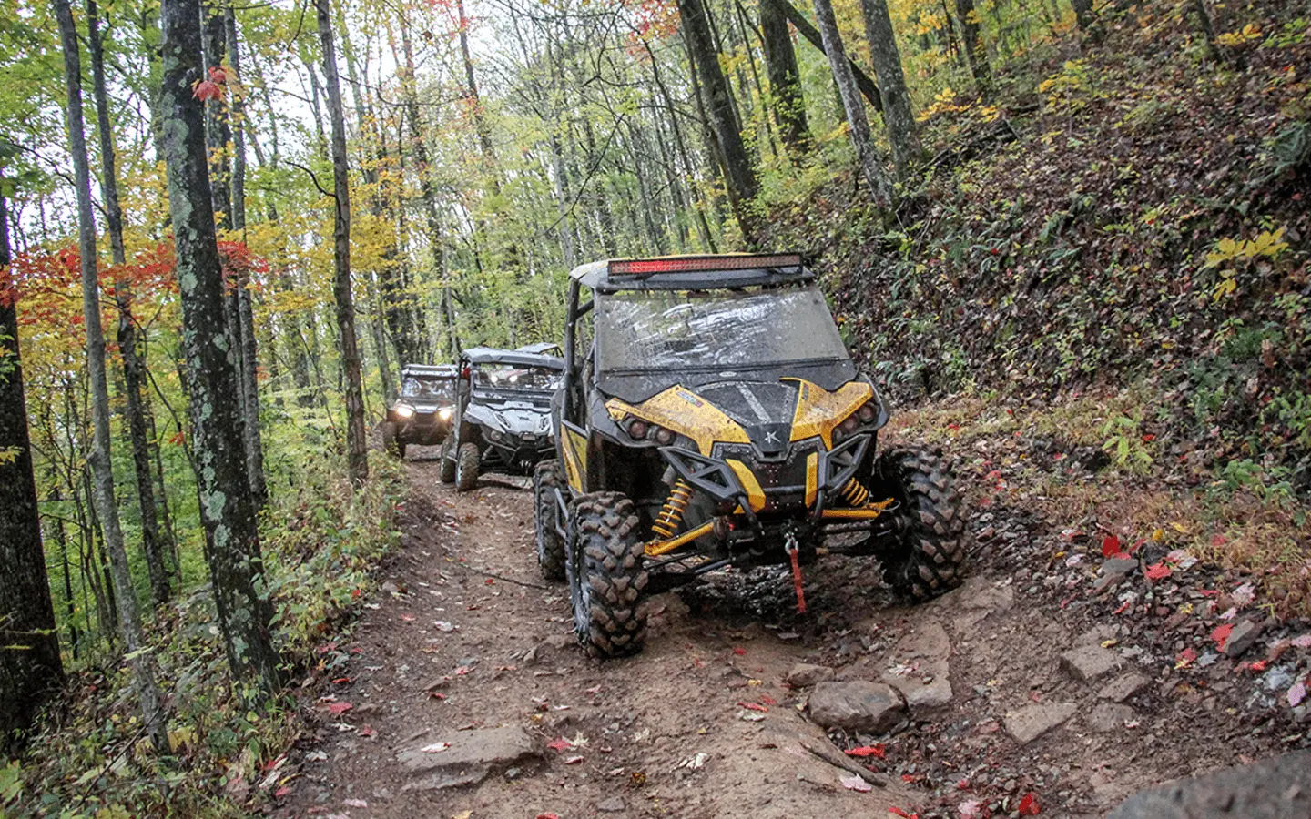 three utvs riding on a wooded trail