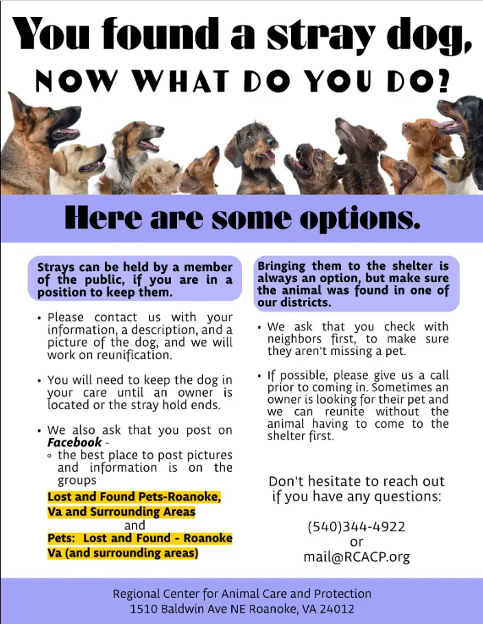 Animal Education