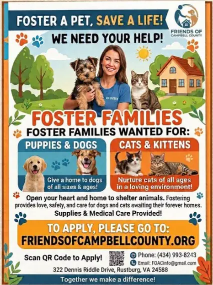 Foster Families