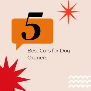 The Best Cars for Pet Owners: Comfort, Space, and Safety