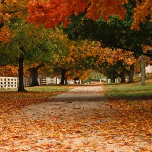 Fall Car Maintenance in Connecticut: Get Your Vehicle Ready for Winter