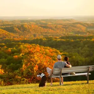 Epic Fall Drives in Your Luxury SUV Near Chicago: Travel Guide