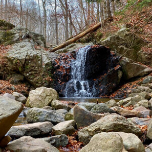 Fun Weekend Activities Near Randallstown, MD