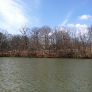 Outdoor Activities Near Randallstown