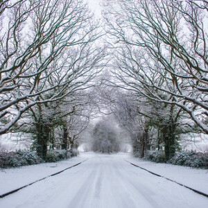 Winter Checklist for Luxury Vehicles