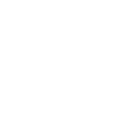 Toyota Logo