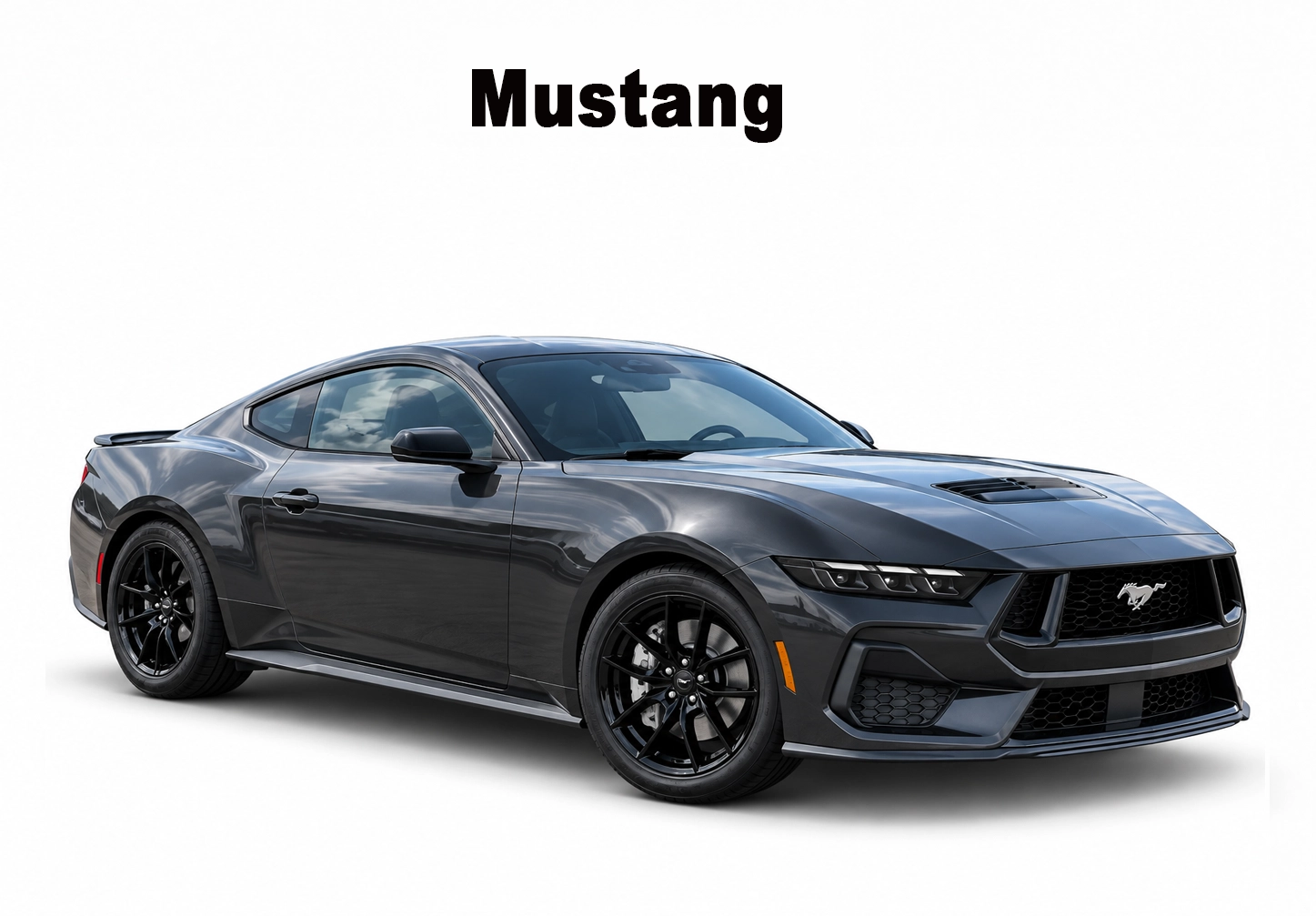 MUSTANG