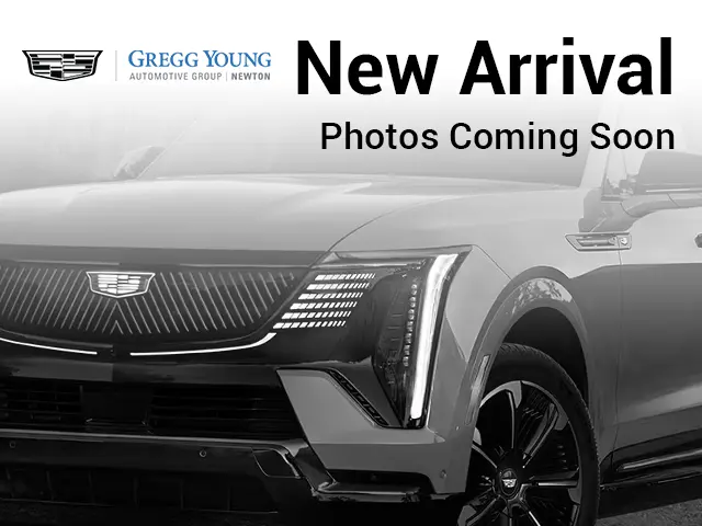 New arrival - photos coming soon