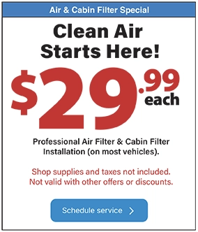 Air and cabin filter special