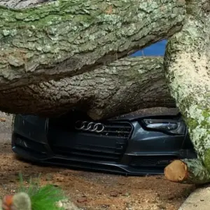 GAP Insurance: What Does It Cover?