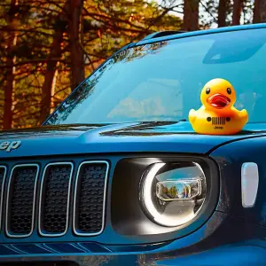 Peculiarities of Jeep Community: Ducks on a Hood