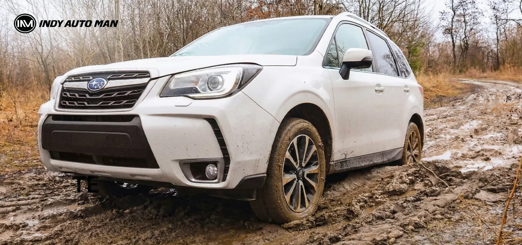 buy a Subaru Forester for off-road