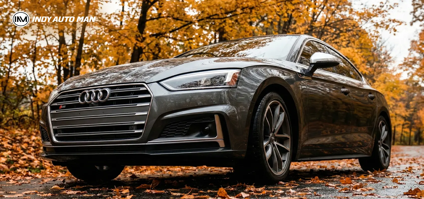 Audi S5:Sports Coupe Model