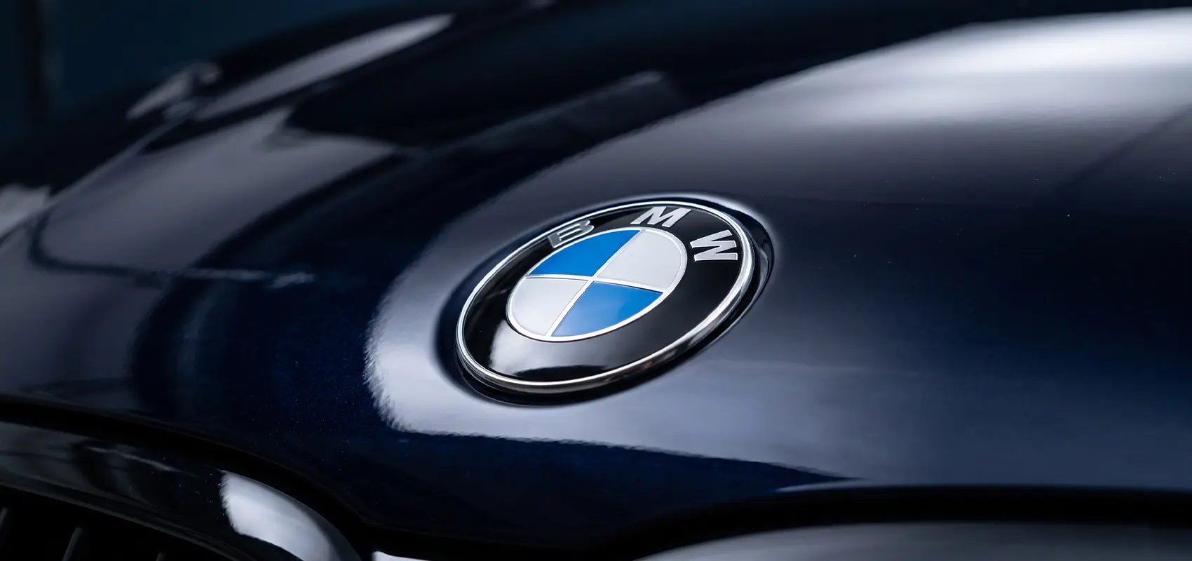 bmw logotype | indy auto man in