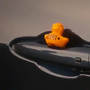 Peculiarities of Jeep Community: Ducks on a Hood
